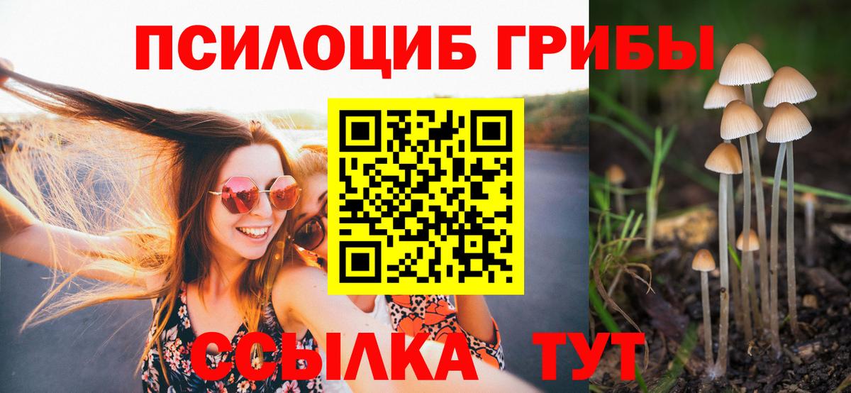 Галлюциногенные грибы прущие грибы  Вход с VPN  купить наркотики сайты  Ейск 